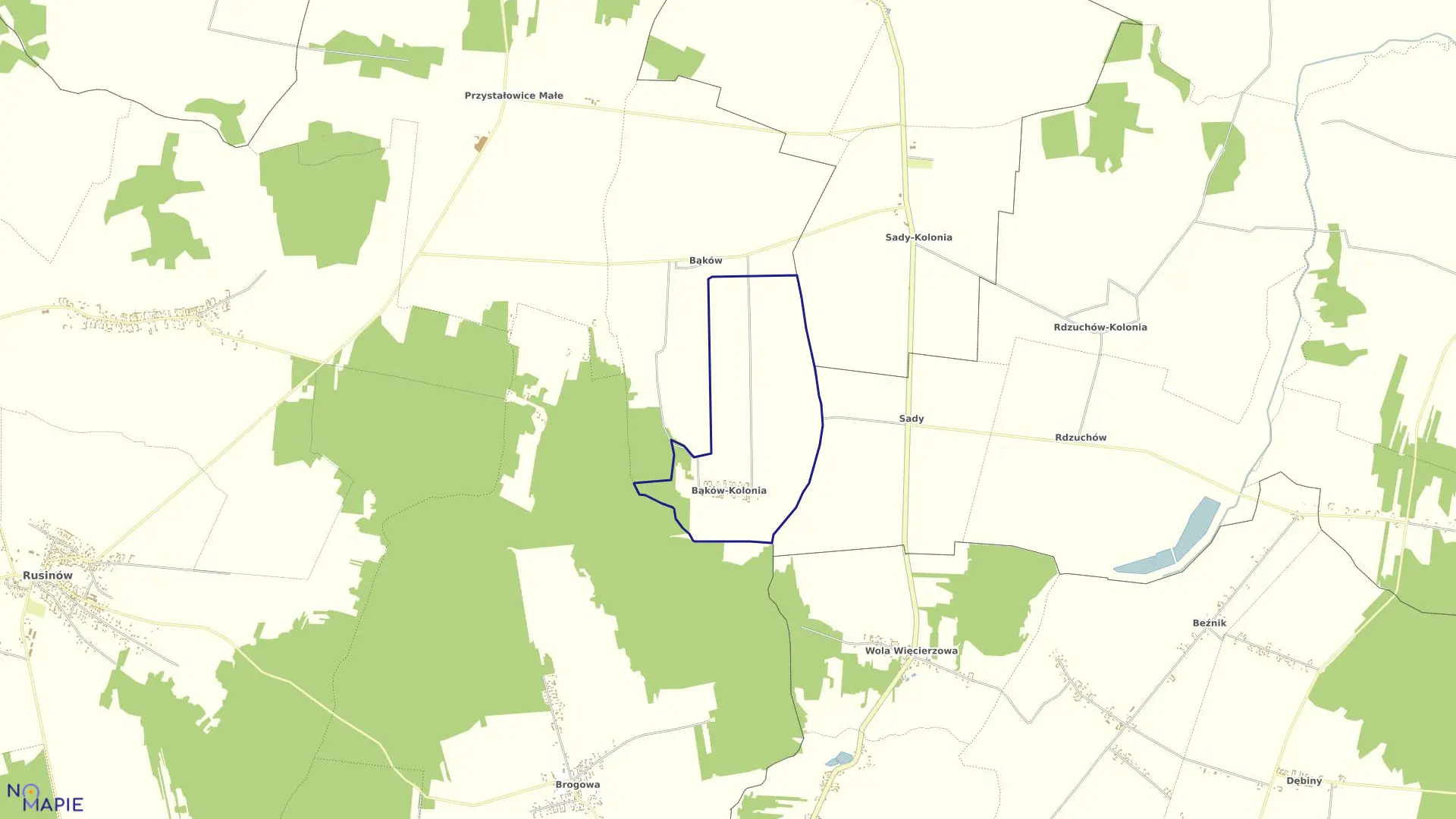 Mapa obrębu BĄKÓW KOLONIA w gminie Rusinów